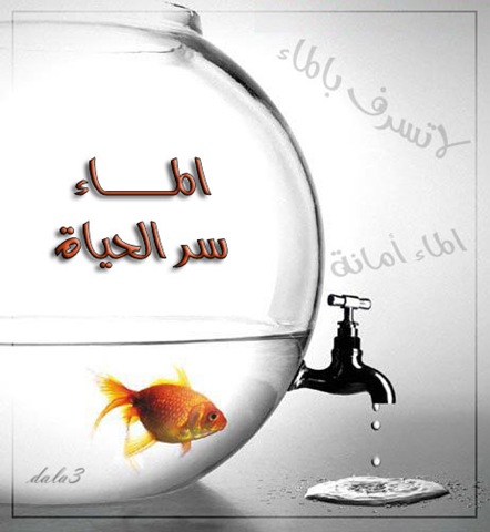 [br2h-e233639452[4]